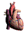 Corazon-06.gif