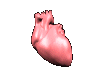Corazon-13.gif
