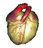 Corazon-15.gif