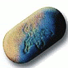 Farmaco-27.gif