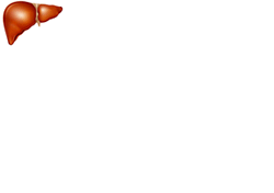 Higado-02.gif