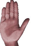 Mano-42.gif