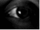 Ojos-116.gif