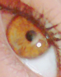 Ojos-120.gif