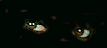Ojos-21.gif
