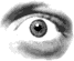 Ojos-38.gif