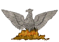 Fenix-03.gif
