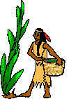 Amerindios-01.gif