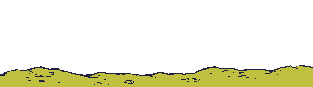 Amerindios-18.gif