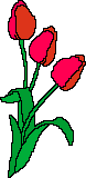 Holanda-02.gif