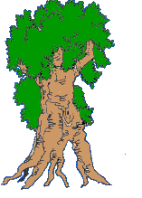 Arbol-03.gif
