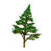 Arbol-16.gif