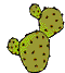 Cactus-09.gif