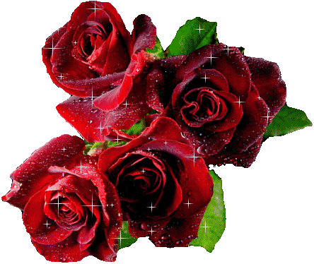 Flores-02.gif