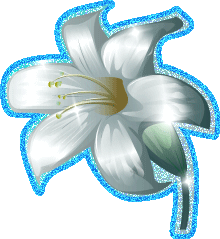 Flores-09.gif