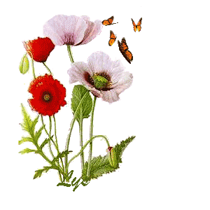 Flores-10.gif