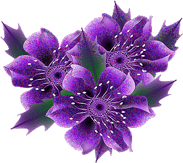 Flores-11.gif