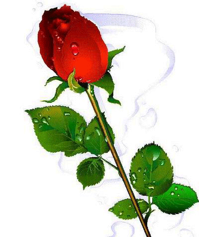 Flores-12.gif