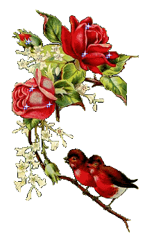 Flores-13.gif