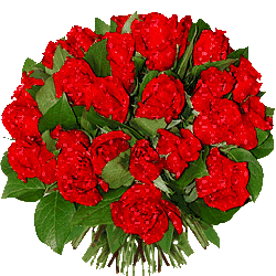 Flores-22.gif