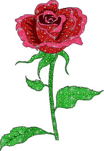Flores-23.gif