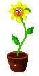 Girasol-03.gif