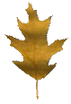 Hoja-10.gif