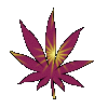 Hoja-12.gif