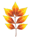 Hoja-13.gif
