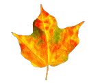 Hoja-14.gif