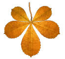Hoja-18.gif