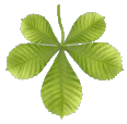 Hoja-19.gif