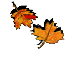 Hoja-20.gif