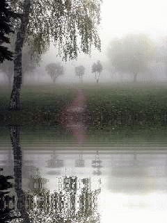Lago-01.gif