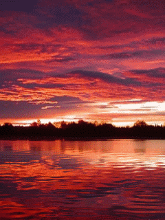 Lago-03.gif