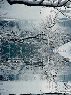 Lago-08.gif