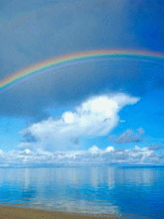 Imagen-animada-Mar-13.gif