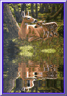 Paisaje-04.gif