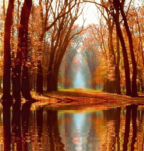 Paisaje-10.gif