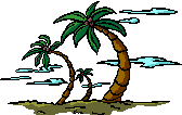 Palmera-05.gif