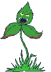 Planta-carnivora-01.gif