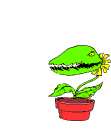 Planta-carnivora-09.gif