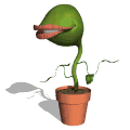 Planta-carnivora-10.gif