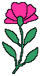 Planta-03.gif
