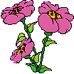 Planta-05.gif