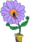 Planta-07.gif