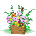 Planta-20.gif
