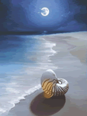 Playa-04.gif
