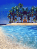 Playa-05.gif
