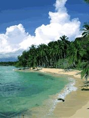 Playa-08.gif